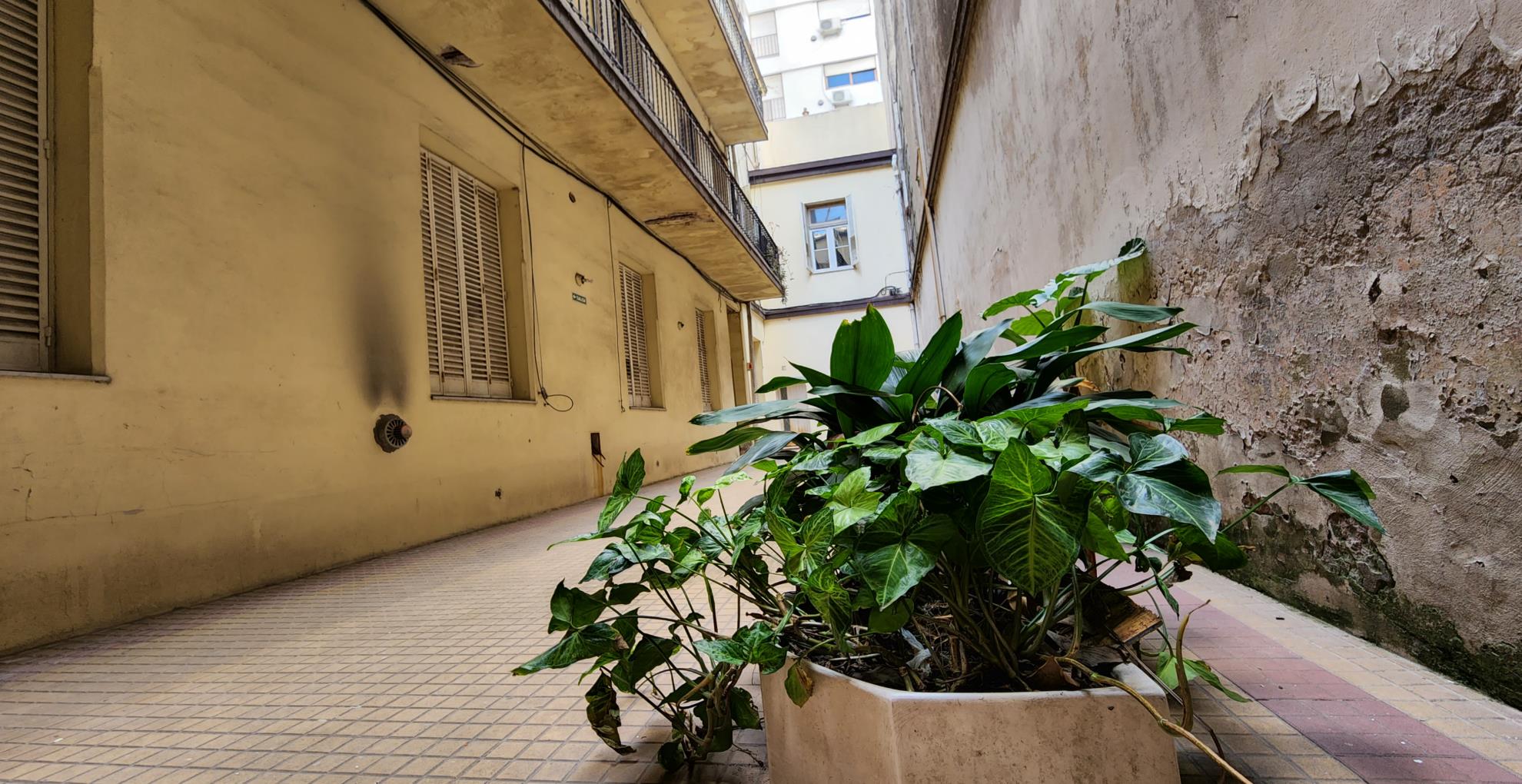 Depto.tipo casa de 3 ambientes en  Venta en Almagro. RIVADAVIA al 4100 Piso PB. Imagen 1